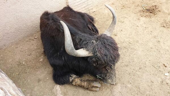 juanantoniohernandez tweet media