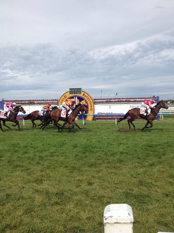 RacingVictoria's tweet photo. Race 2 @MRCTrackNews goes to Belle Couture the half sister to @blackcaviar2006 congrats to owners and @DOBrienRacing http://t.co/PFwowFXvGK
