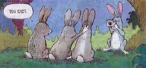 JandeHoop's tweet image. Allemaal, een vrolijke 2e Paasdag!