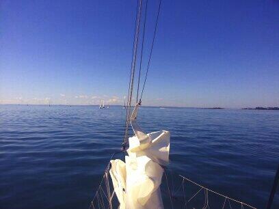 cathexis's tweet photo. 25. Beautiful weather. #100happydays http://t.co/FYgDO4TzNH