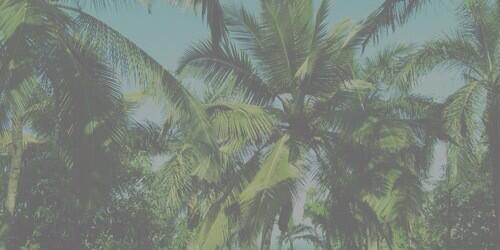 ☾ (@prctective) on Twitter photo 