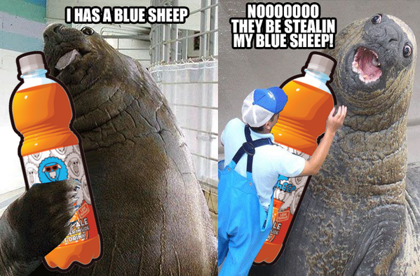BlueSheepEE's tweet photo. Hülgemöla, aga asjalik.#möla #hüljes http://t.co/xcblLroRUT