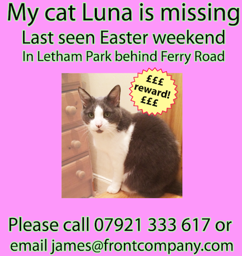 RHeydecker's tweet photo. PLEASE keep look out for lovely Luna, last seen near Letham Park, off Ferry Road. Please RT in Edinburgh #missingcat http://t.co/D09CmGQViX