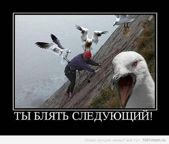_Islam23 tweet picture