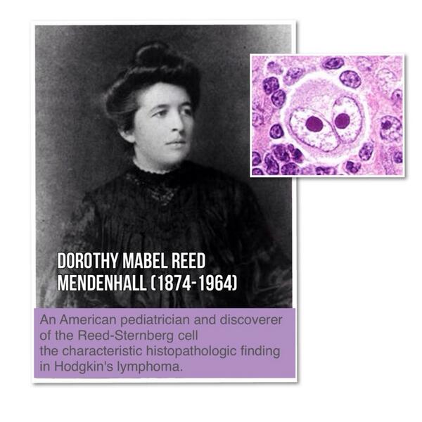 SMZ2009's tweet photo. Dr. Dorothy Reed Mendenhall,one of the few great female scientist, discovered the RS cell in Hodgkin's Lymphoma. http://t.co/p4eGiyYDeD