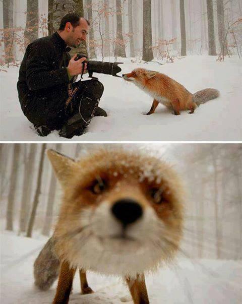 _Paisajes_'s tweet photo. Reflexión de hoy:

"El único disparo que debe recibir un animal." http://t.co/fj8cJV7HEs
