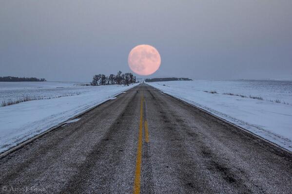 Gabriele Corno tweet media