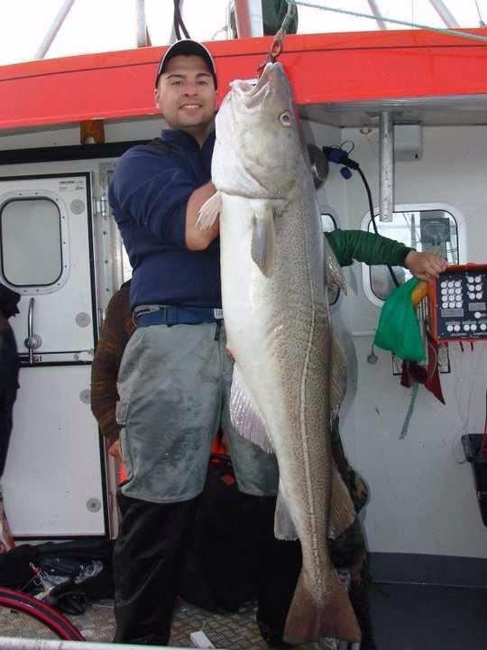 Monsterdorsch von Martin.