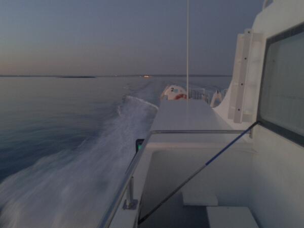 xico castello (@xicocastello) on Twitter photo 