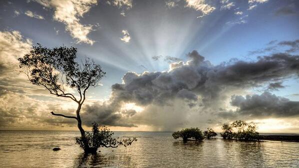 Gabriele_Corno's tweet photo. Tanjung Rhu, Langkawi, Malaysia #mystic #armony #silence #zen http://t.co/QzOzjwo441