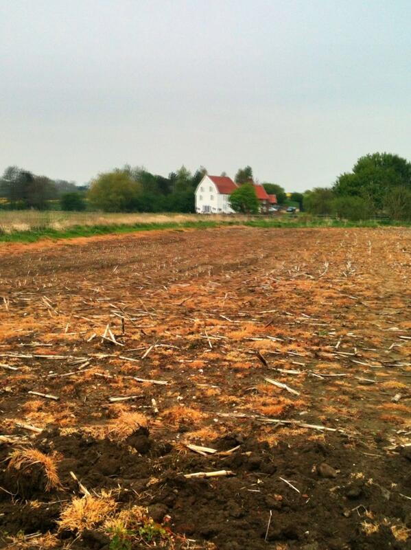 cdgillingwater's tweet photo. Looking towards the mill in Little Glemham #suffolk http://t.co/2EPDPTjkai