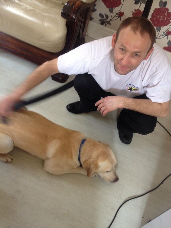 Just walked in my mums polish boyfriend hovering the dog