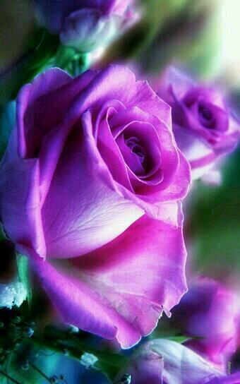 nipes_kamel tweet picture