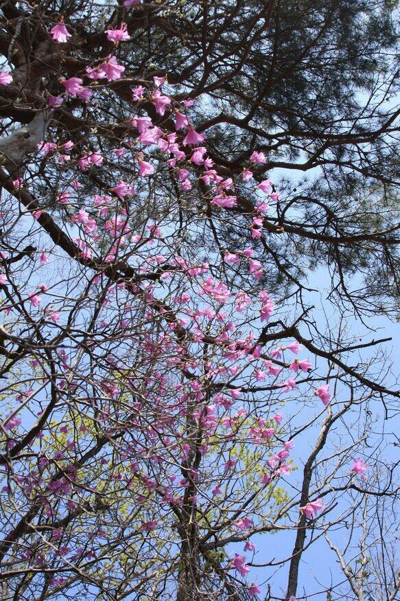 kds2064's tweet photo. 황악산에서. http://t.co/wkL0I7HHoR