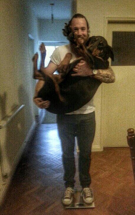 Gavjmac's tweet image. Weekly Weigh in! #doberman #dontblamethebreed