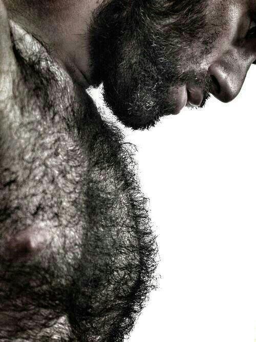 волосатые крепкие парни. самый волосатый мужчина. большая волосатая мужская грудь. жесткий волосатый мужик. здоровый волосатый мужик.