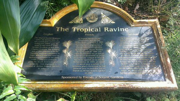 Did you know Belfast has a tropical ravine? This hidden gem in #belfast botanic gardens is unique to the Island! :)