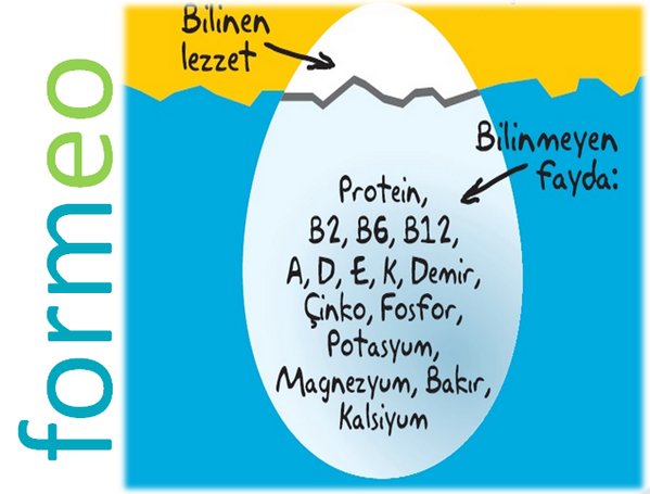 formeo_ddy's tweet photo. Yumurta protein, vitamin ve mineral deposudur, unutmayın! @OdabasiKanar @DytTugceErgen @peynircirokaci http://t.co/6JQzyGSzqr