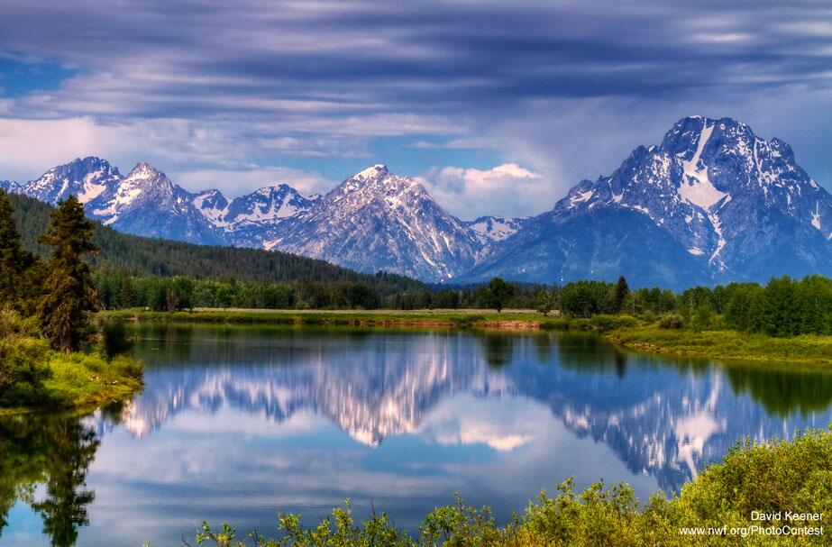 National Wildlife Federation on Twitter: &quot;Celebrate the grandeur