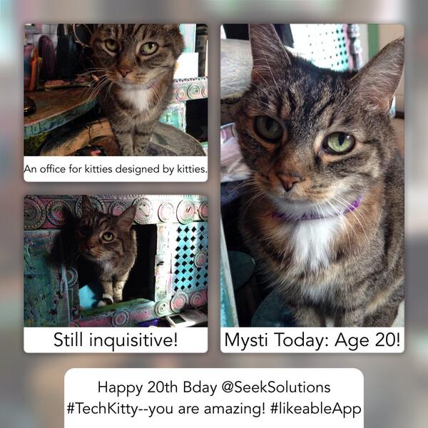 shannonseek's tweet image. Happy 20th bday to @seeksolutions&apos; 1st #techKitty!