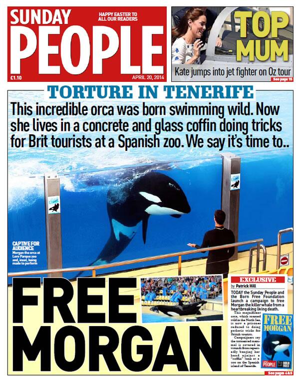 Torture in Tenerife  She lives in a concrete &amp; glass coffin, doing tricks. The time is NOW to #FreeMorgan #Blackfish