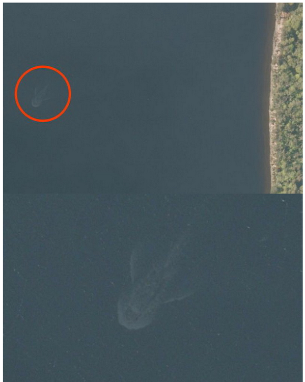 WebYServicios's tweet photo. Increibles fotografías del satélite de google capturaron lo que parece ser el Mounstro del lago Ness http://t.co/M0daGWk4y3