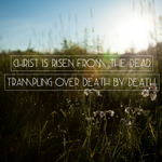 Photo by Tallowood Baptist (@tallowoodbc)