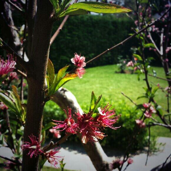 Konstantinos Androutsos (@androutsos) on Twitter photo 