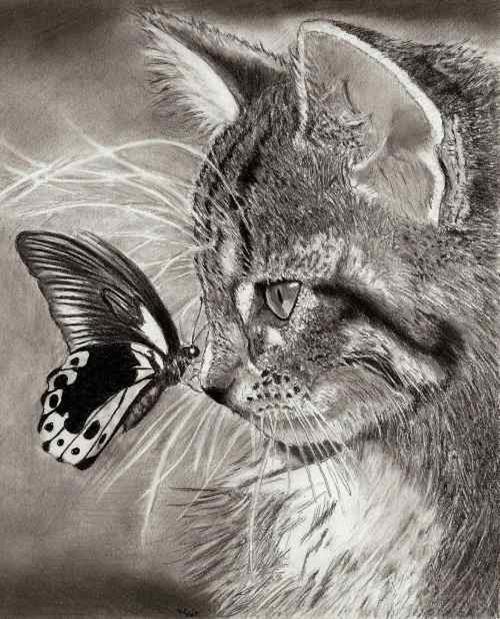 gede_prama's tweet photo. Under the gentle hug of love, nothing to be afraid of
@MarildaGodoy: http://t.co/ml0nxmmTAb