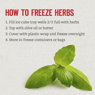 #HowTo freeze herbs for later use. #FoodPrepTip