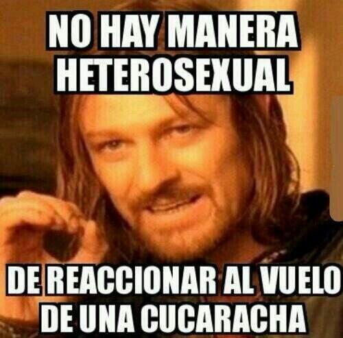 AliceNSL's tweet photo. @JimeneeezZz dedicada a ti... http://t.co/kTKrqsghxa
