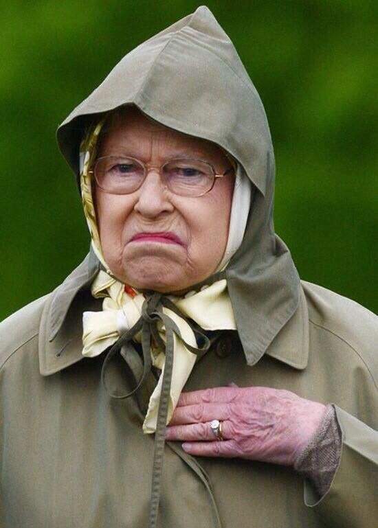 PippaTilley's tweet photo. Same. http://t.co/FxNuxzvraA