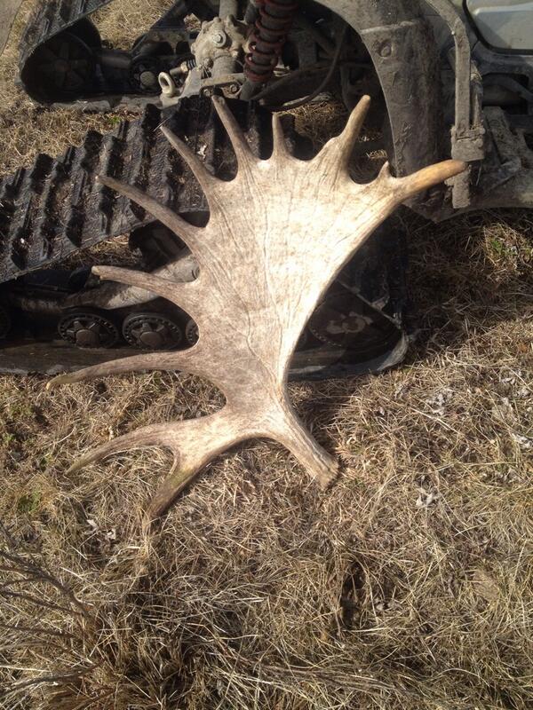 GarrettSamuelJ's tweet image. Shed I found today. @OutdoorsCEO