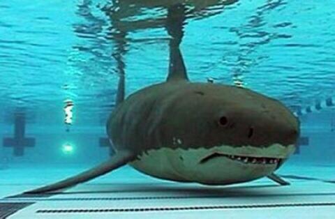 Tweets21Funny's tweet photo. My irrational childhood fear 😂 http://t.co/Ga0fApQUbb