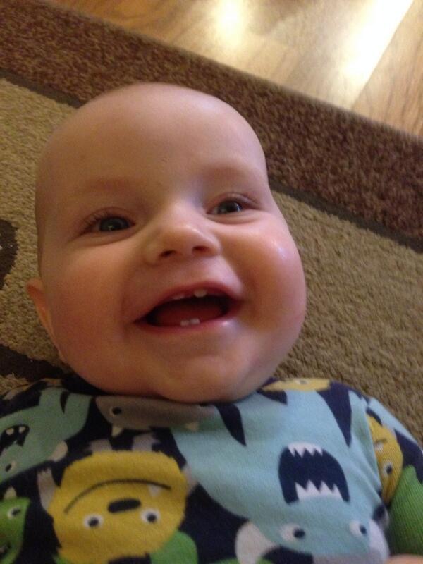 I has four teef, I has four teef, I has four teef hey, hey, hey, hey!