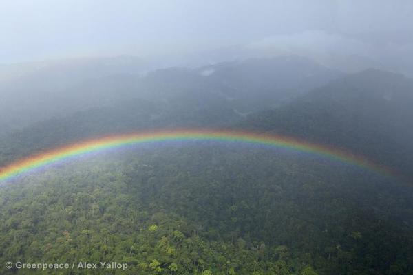 najiraw's tweet photo. " @Greenpeace Happy #EarthDay ! Tell us one thing you'll do today for a healthy planet! http://t.co/53B1bcaqt3