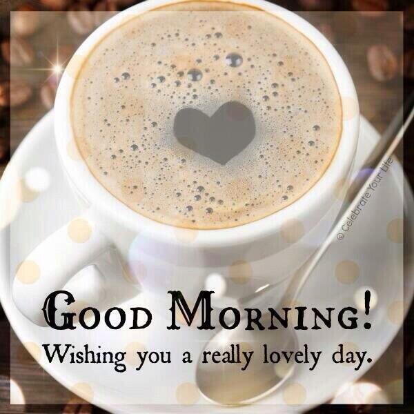 _ButterflyVA's tweet image. Good morning