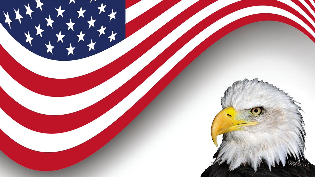 DamirTankovic's tweet photo. Watch the Video of the American Millitia Rising @ https://t.co/9CULqy5VFt http://t.co/qkB7c8t4Ef