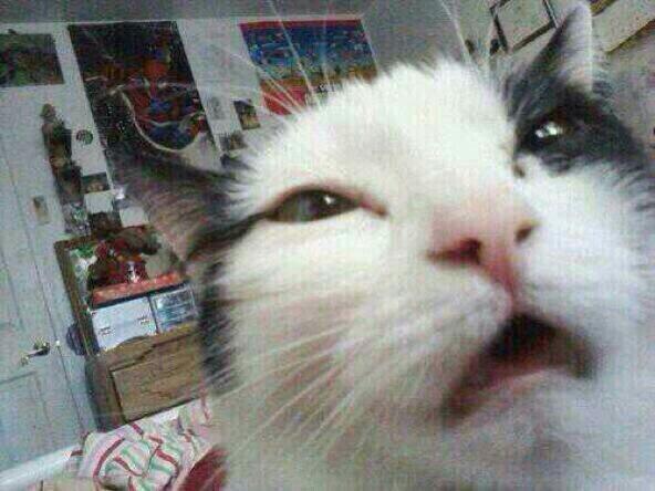 Amador_Rivas's tweet photo. Yo cuando abro la cámara frontal del móvil http://t.co/1vNZjtip6R