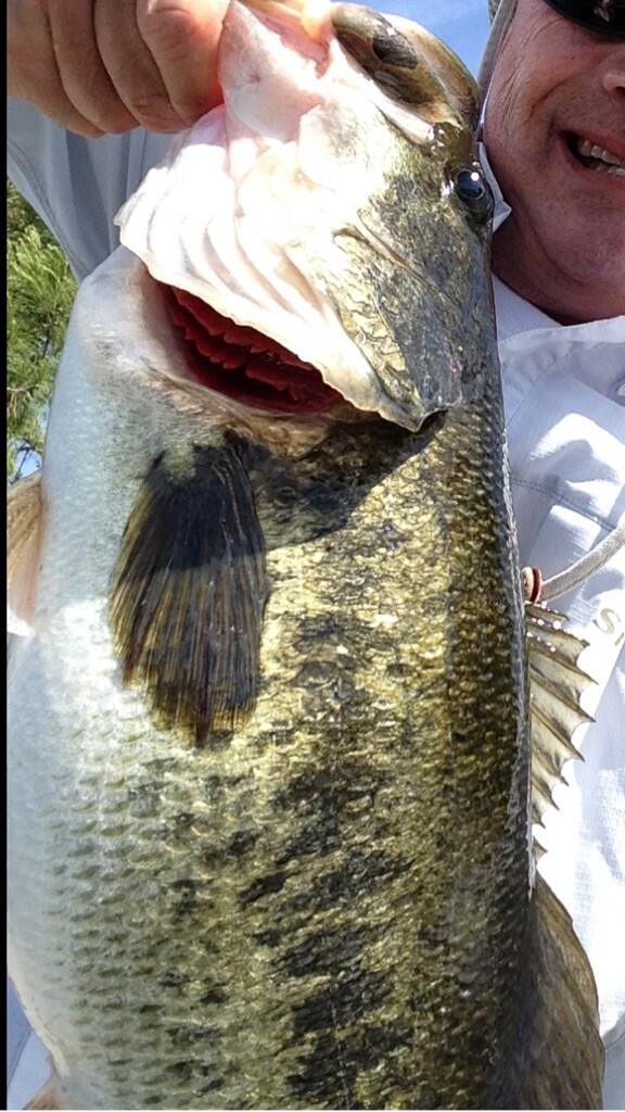 TsFishman's tweet image. Top water time!!