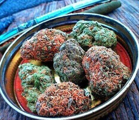 weednsnacks's tweet photo. Sometimes... Weed is all you need. http://t.co/kzO0INjKHF
