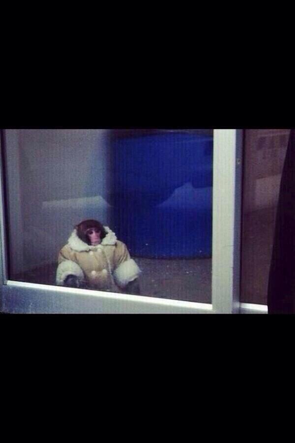 Steven Rizzi (@RizzKhalifa) | Twitter