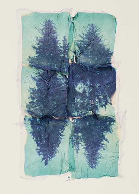 PhotoWeekLowell's tweet image. Polaroid Transfer by Jeff Engel - Instant Image solo show Ayer Lofts. Sun 5/18, 3-5 pm