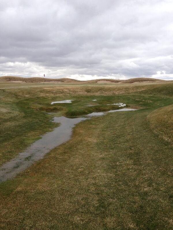 Irrigation puddle.. Thinking it's a T joint. Time to dig. #redtaillanding