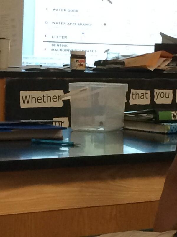 My science teacher had Nutella on his desk... Me and this kid decided to steal it cause YOLO