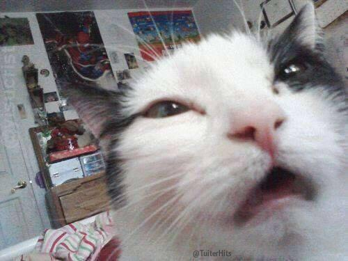 TuiterHits's tweet photo. CUANDO ACTIVAS SIN QUERER LA CÁMARA FRONTAL DEL MÓVIL. http://t.co/pxLWFZqVmE