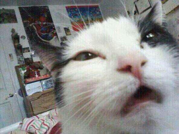 0000_andrea's tweet photo. "@DeboConfesarQue: Cuando activas sin querer la cámara frontal del móvil: http://t.co/XrsJunca3p" @claudiaflorr 
Jajaja