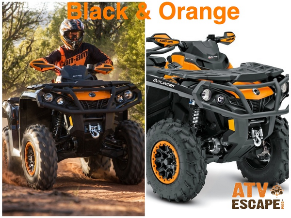 Louis Powersports tweet media