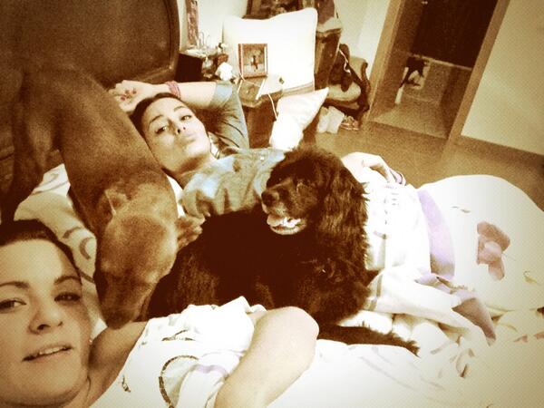 laura86mv's tweet photo. A dormir!!!!!! 💤💤🙊 http://t.co/GpU6fX8sYT