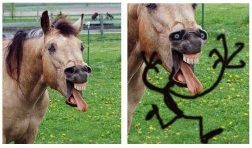 Failedimages's tweet image. 